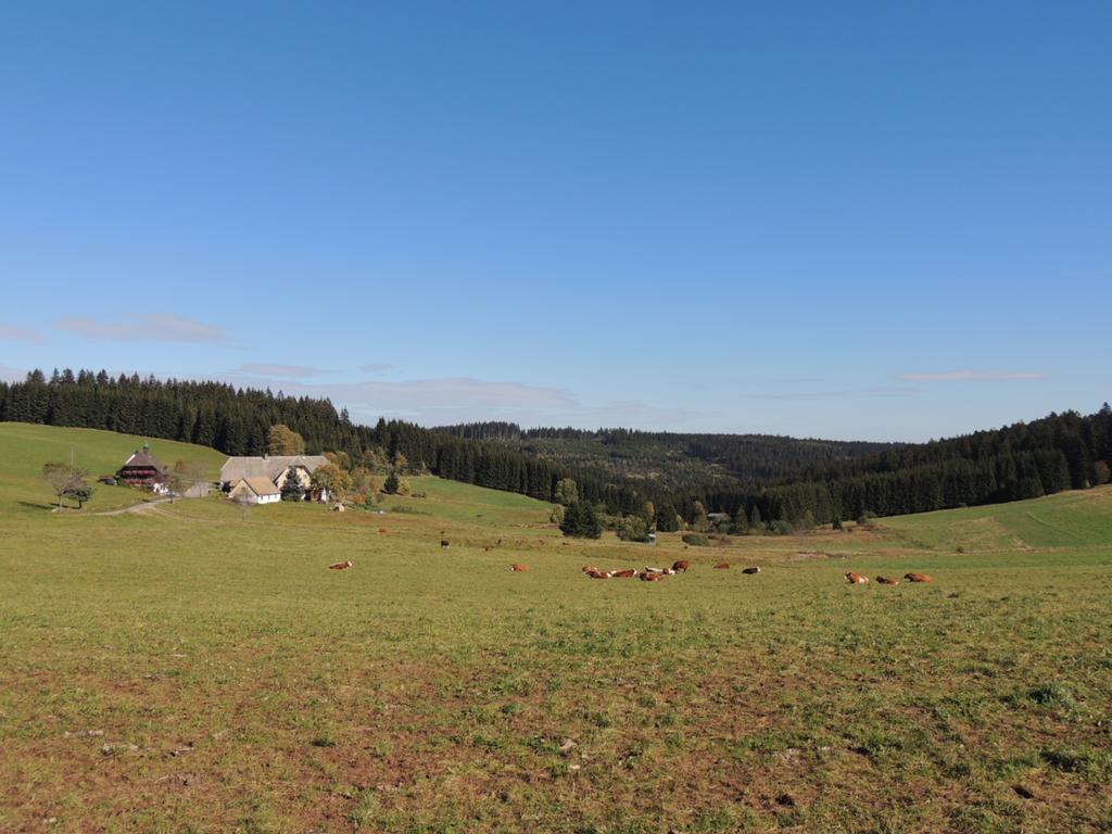 Gasthof Altvogtshof 3*
