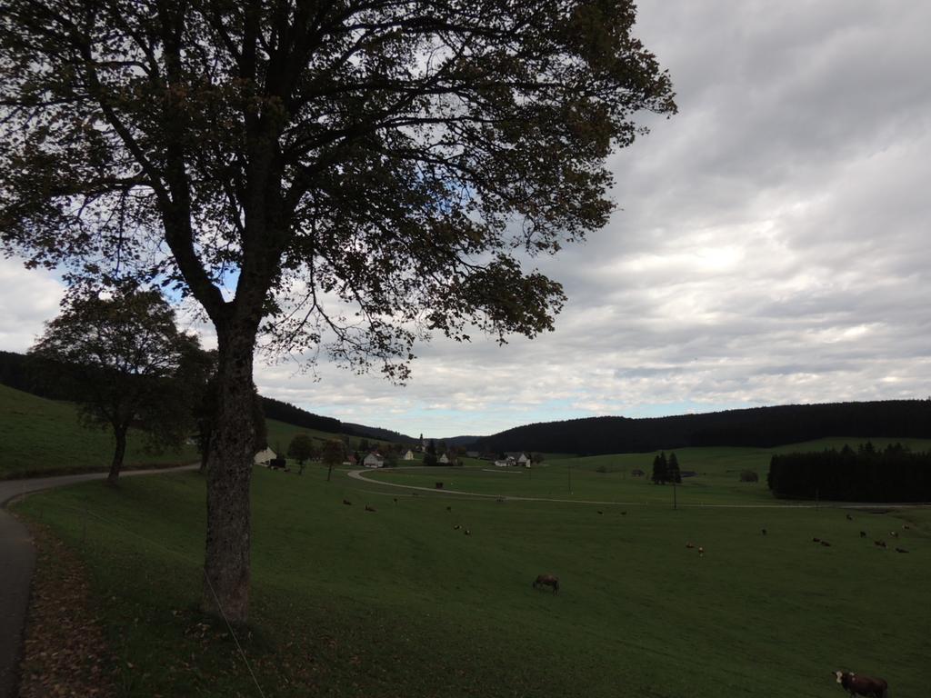 Altvogtshof Gasthof 3*