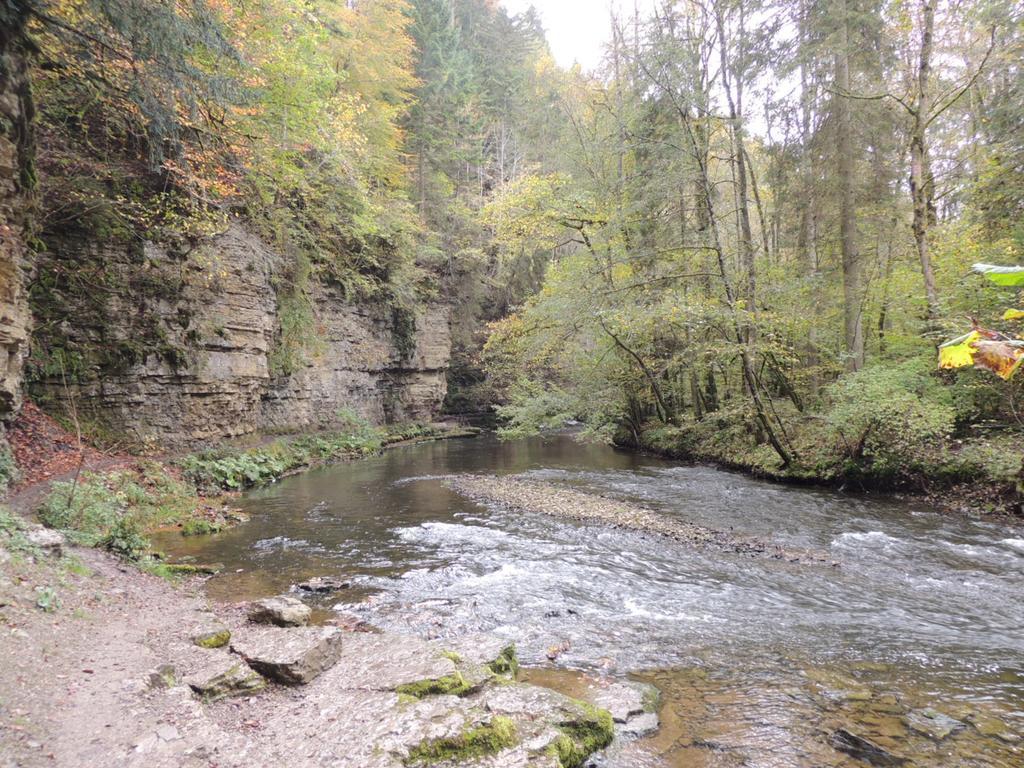 Altvogtshof 3* Eisenbach (Breisgau-Hochschwarzwald)
