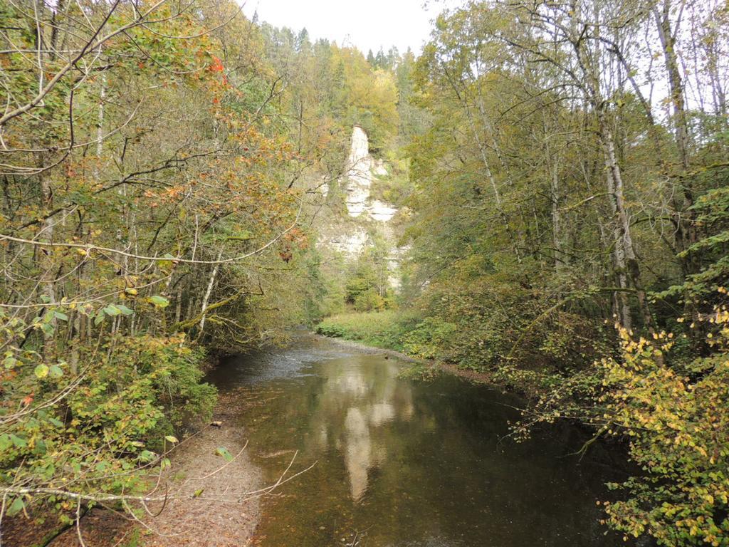 Altvogtshof Gasthof Eisenbach (Breisgau-Hochschwarzwald)