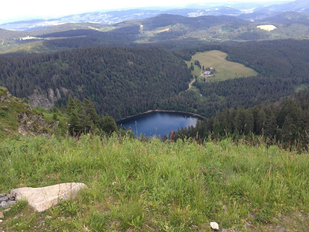 Altvogtshof Gasthof 3*