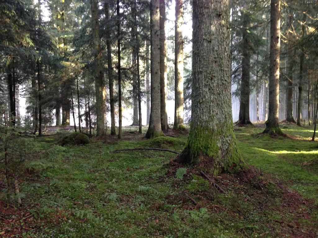 Altvogtshof Eisenbach (Breisgau-Hochschwarzwald)
